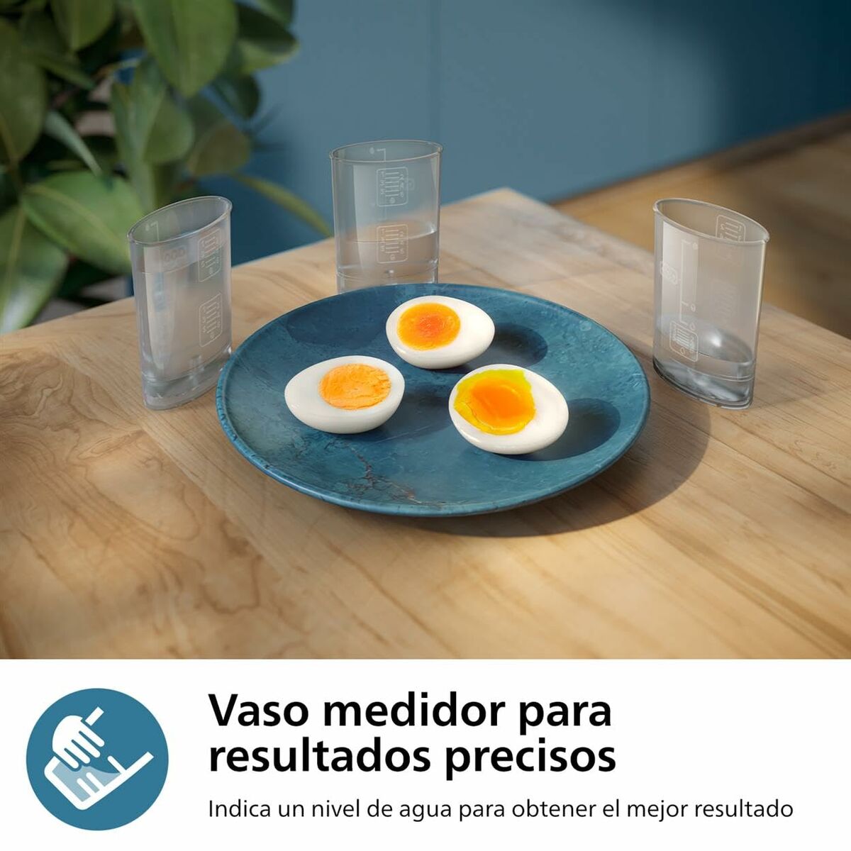 V4HB1AD95FCBCC77107712D9D246CBED1A6R6815254P6